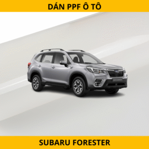 dán ppf ô tô subaru forester