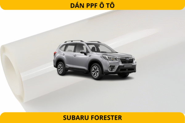 dán ppf ô tô subaru forester