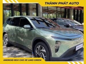 top 5 Phụ kiện limo green