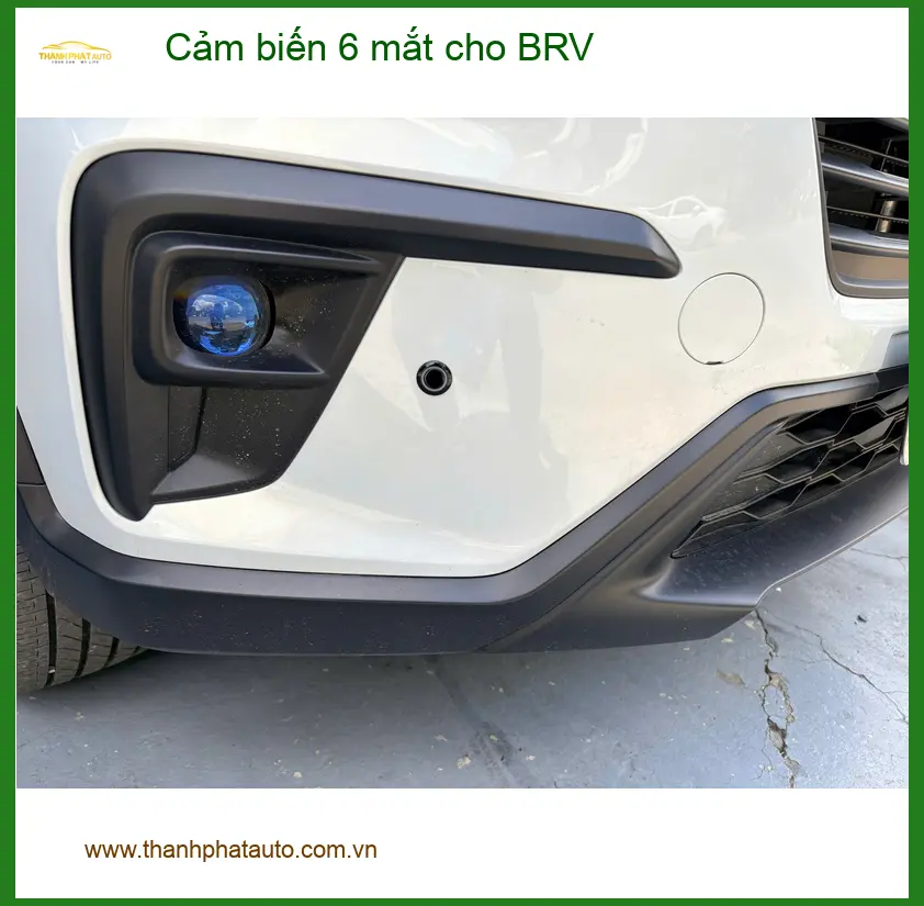 Chú Phát gắn cảm biến 6 mắt cho BRV tại Bình Chánh vì hay đậu xe sát lề ảnh thực tế 4