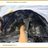 Dịch Vụ Thi Công Cách Âm Chống Ồn Ô Tô tại Quận 5 - Thi Công Chuyên Nghiệp