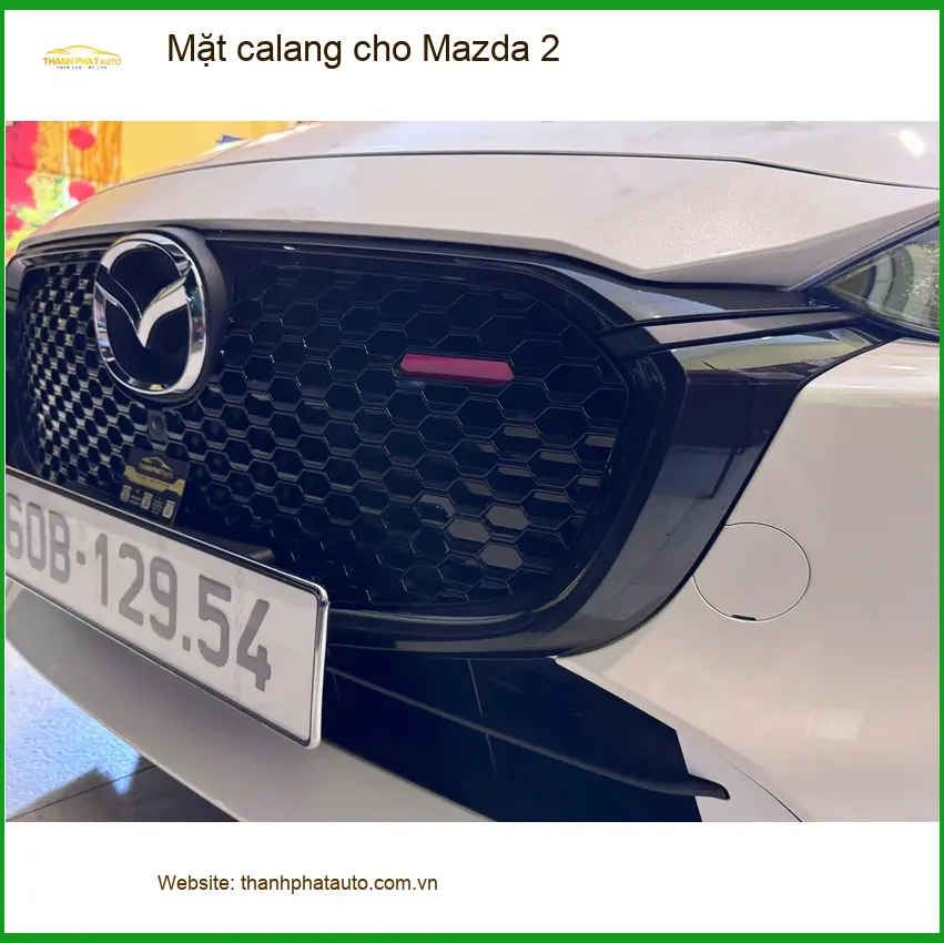 Chị Thanh thay mặt calang cho Mazda 2 tại Cần Giờ vì cũ, xuống cấp ảnh thực tế 2