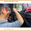 Trung Tâm Dán Phim Cách Nhiệt Ô Tô phim cách nhiệt VF2 quận 1 - Giá Tốt TPHCM